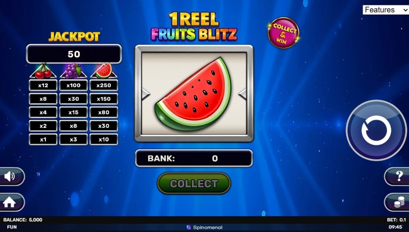 1 Reel - Fruits Blitz.jpg