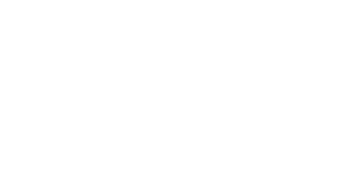 LionBet Casino Logo