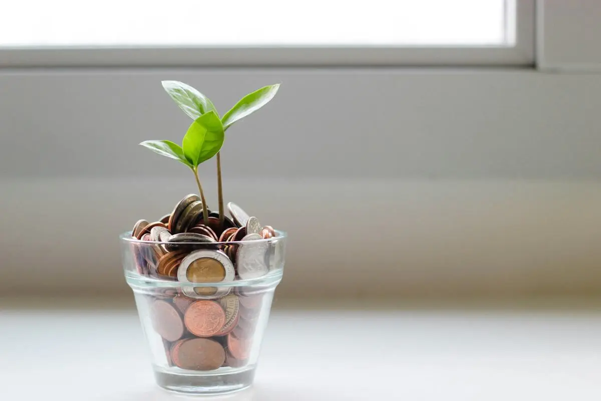 Growth and economy