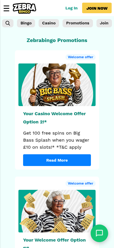 ZebraBingo_Casino_promotions_mobile