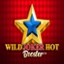Wild Joker Hot Booster