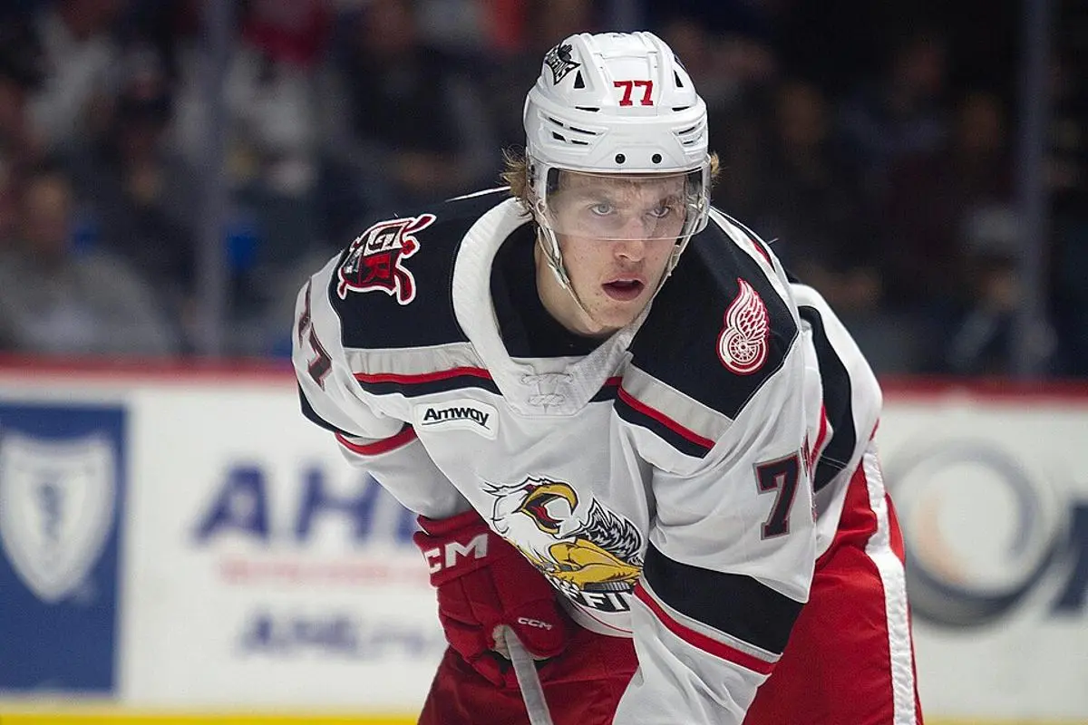 Red Wings Defenseman Simon Edvinsson / Credit: Wikimedia Commons