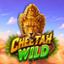Cheetah Wild