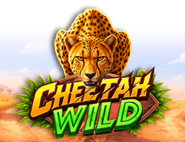 Cheetah Wild