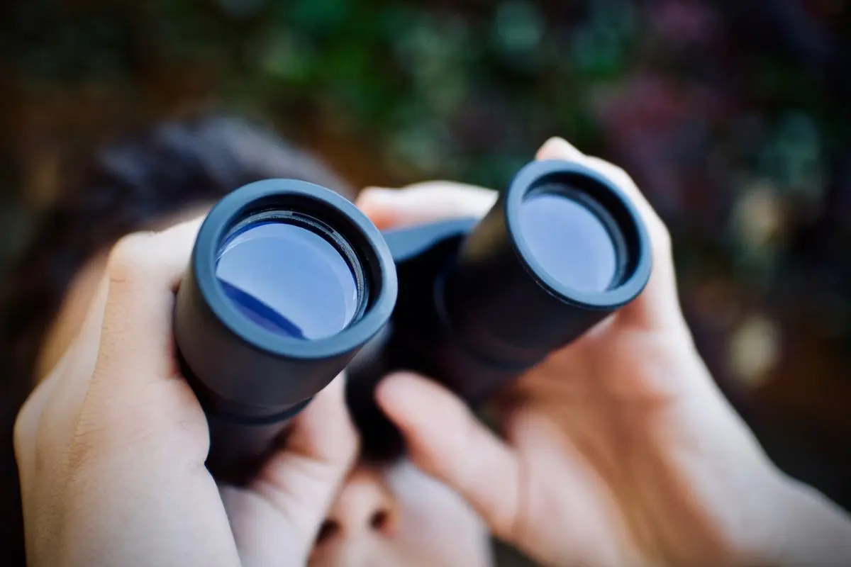 person-looking-through-binoculars