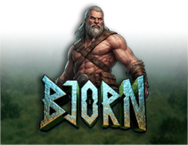 Bjorn