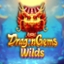 Dragon Gems Wilds