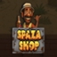 Spaza Shop