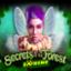 Secrets of the Forest Extreme