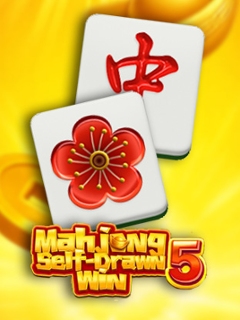 Mahjong Self-Drawn Win 5