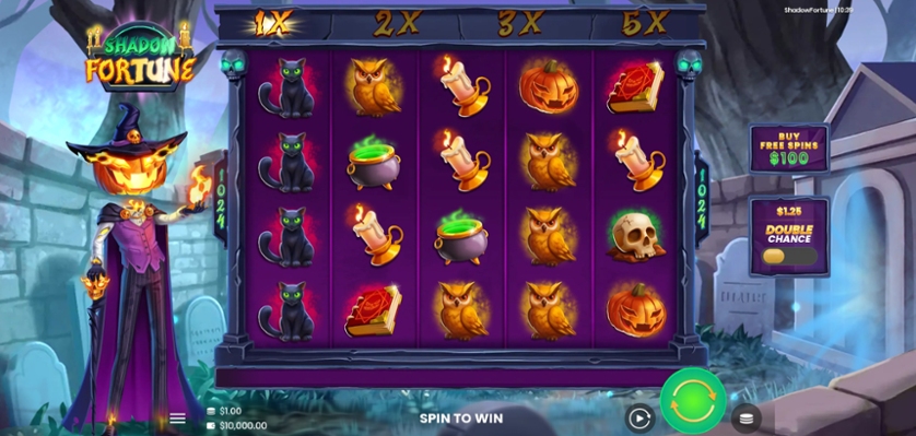 Shadow Fortune.jpg