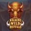 Walking Wild Buffalo