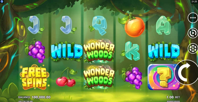 Wonder Woods.jpg