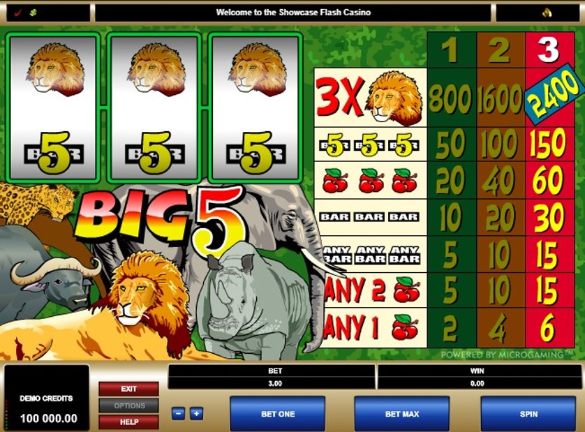 Big 5 Free Slots.jpg