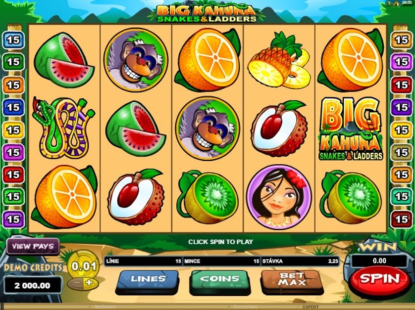 Big Kahuna Snakes & Ladders Free Slots.jpg