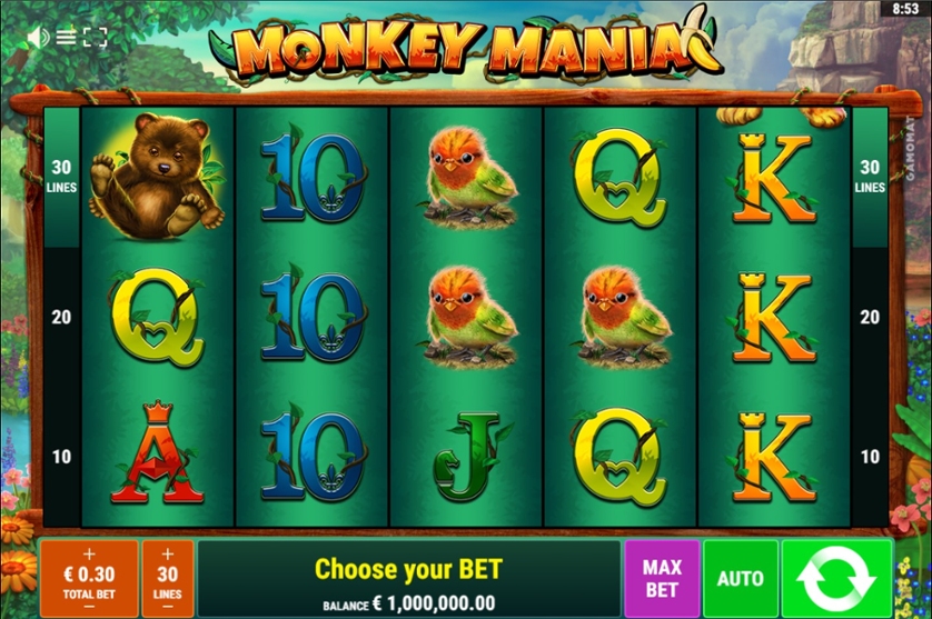 Monkey Mania.jpg