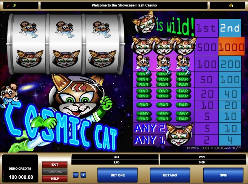 Cosmic Cat Free Slots.jpg