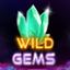 Wild Gems