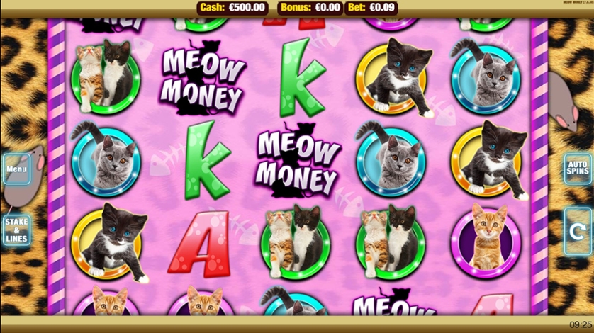 Meow Money.jpg
