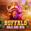 Buffalo Hold and Win