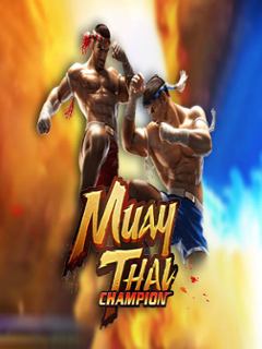 Muay Thai Champion