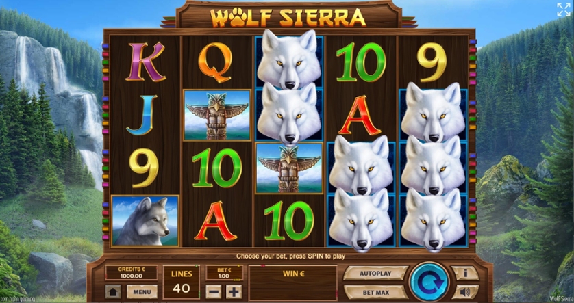 Wolf Sierra.jpg