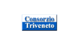 Consorzio Triveneto