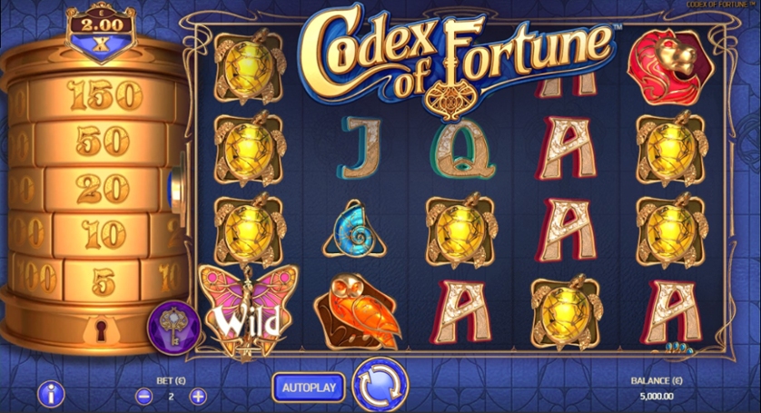 Codex of Fortune.jpg