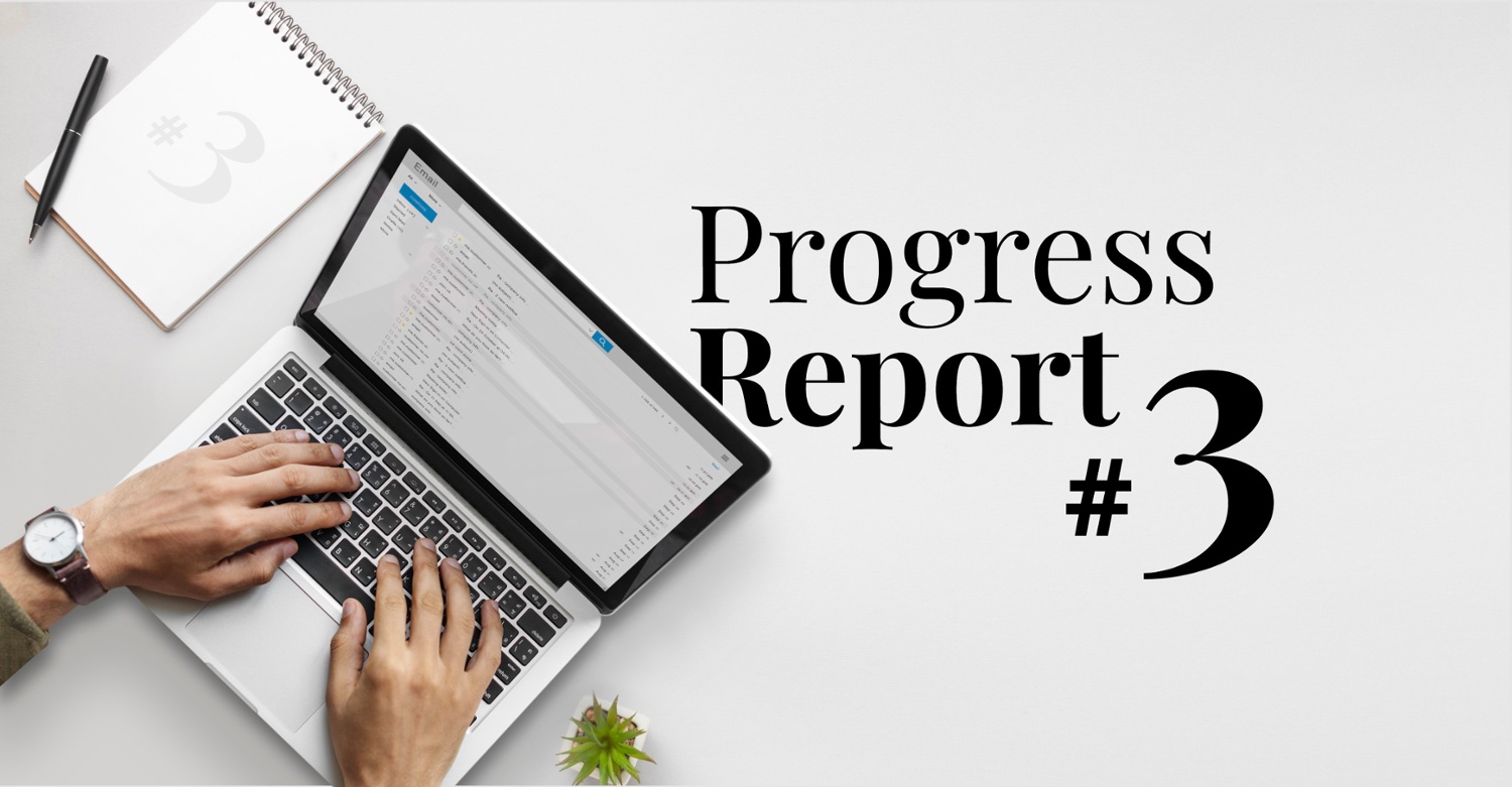 Progress Report 3
