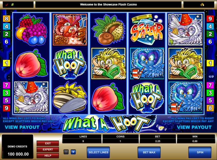 What a Hoot Free Slots.png