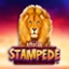 African Stampede