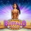 Buffalo Magic