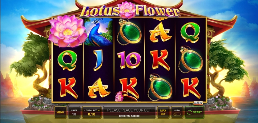 Lotus Flower.jpg