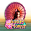 Lotus Flower