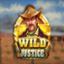 Wild Justice