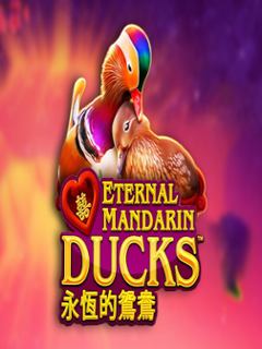 Power Prizes – Eternal Mandarin Ducks