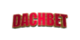 Dachbet Casino