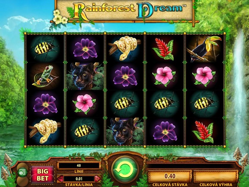 Rainforest Dream Free Slots.jpg