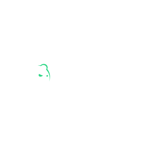 Bruno Casino Logo und Schnittstelle