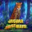 Jaguar SuperWays