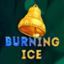 Burning Ice