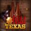 Wild Texas