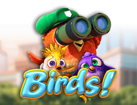 Birds!