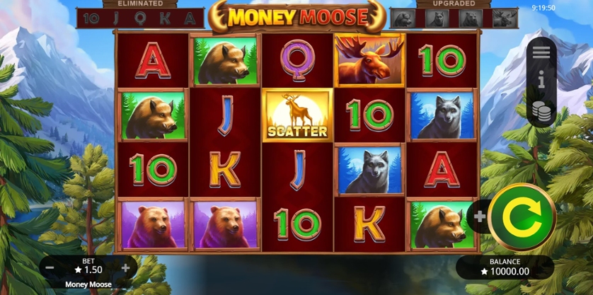Money Moose.jpg
