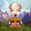 Folklore of White Buffalo