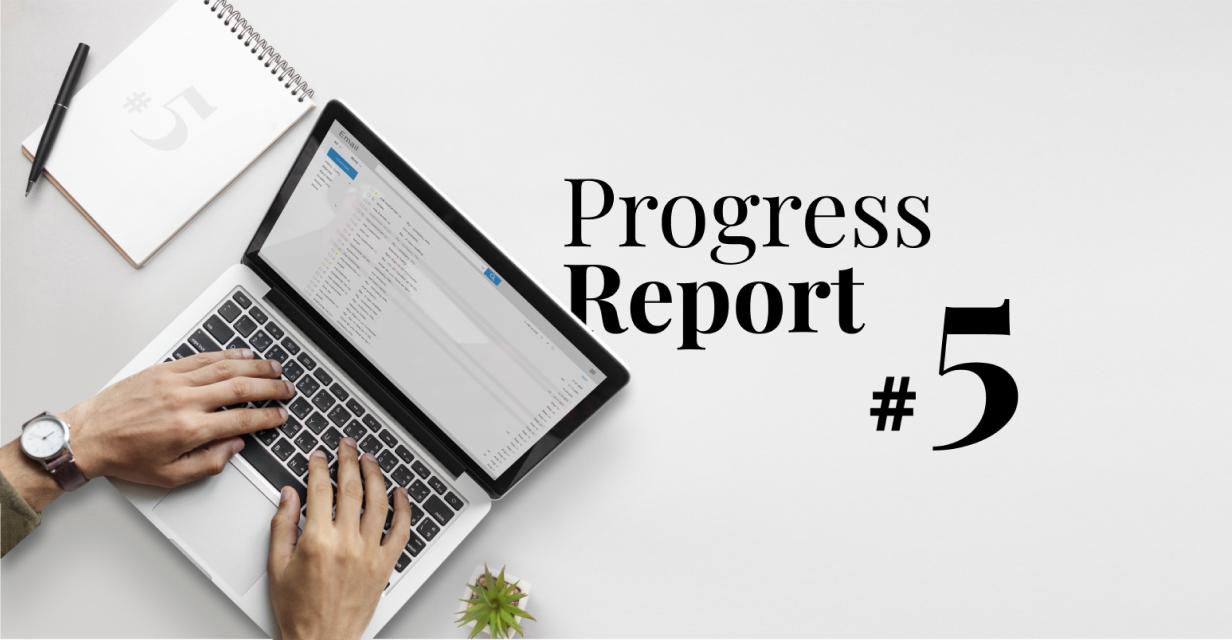 Progress Report 5