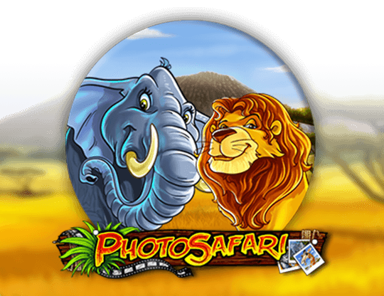 Photo Safari