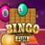Bingo Fun