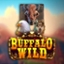Buffalo Wild