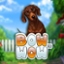 Bow Wow